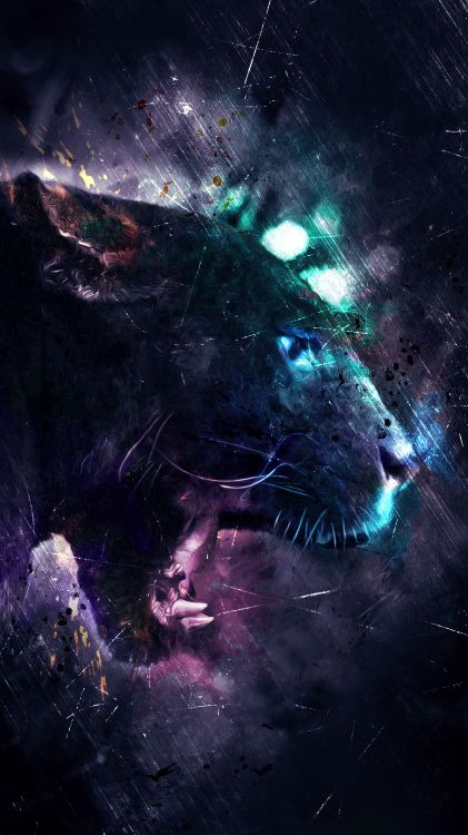 Обои темнота, кошачьих, волк, астрономический объект, бакенбарды в разрешении 3240x5760