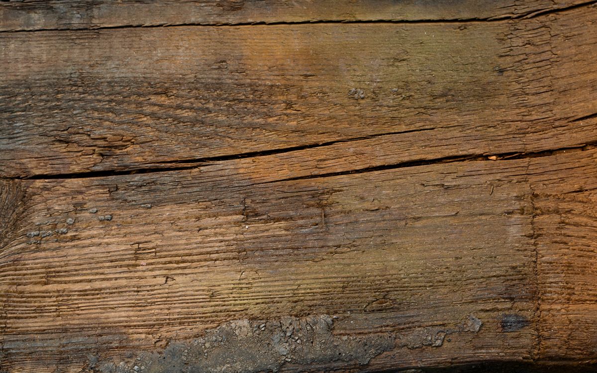 Обои дерево, древесина, морилка, планка, хлам в разрешении 2560x1600