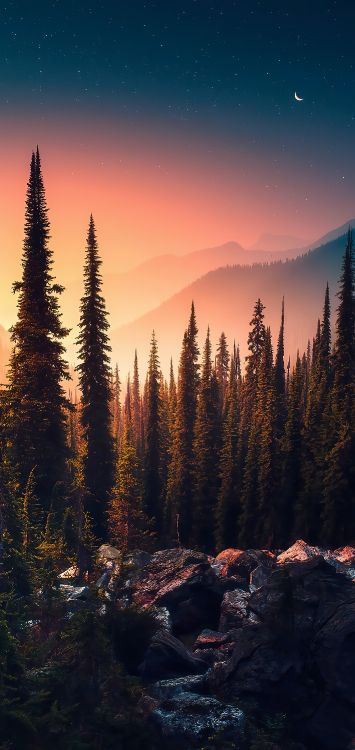 Обои природа, арт, пейзаж, пейзажная живопись, атмосфера в разрешении 1422x3000