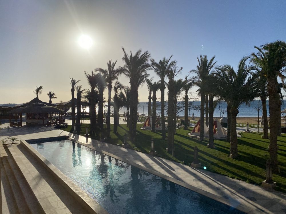 Обои Пальма, пальмовые рощи, плавательный бассейн, растение, вода в разрешении 2048x1536