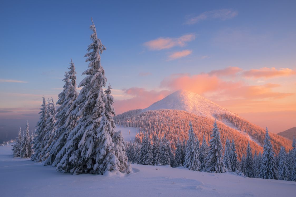 Обои снег, зима, дерево, замораживание, гора в разрешении 5243x3500