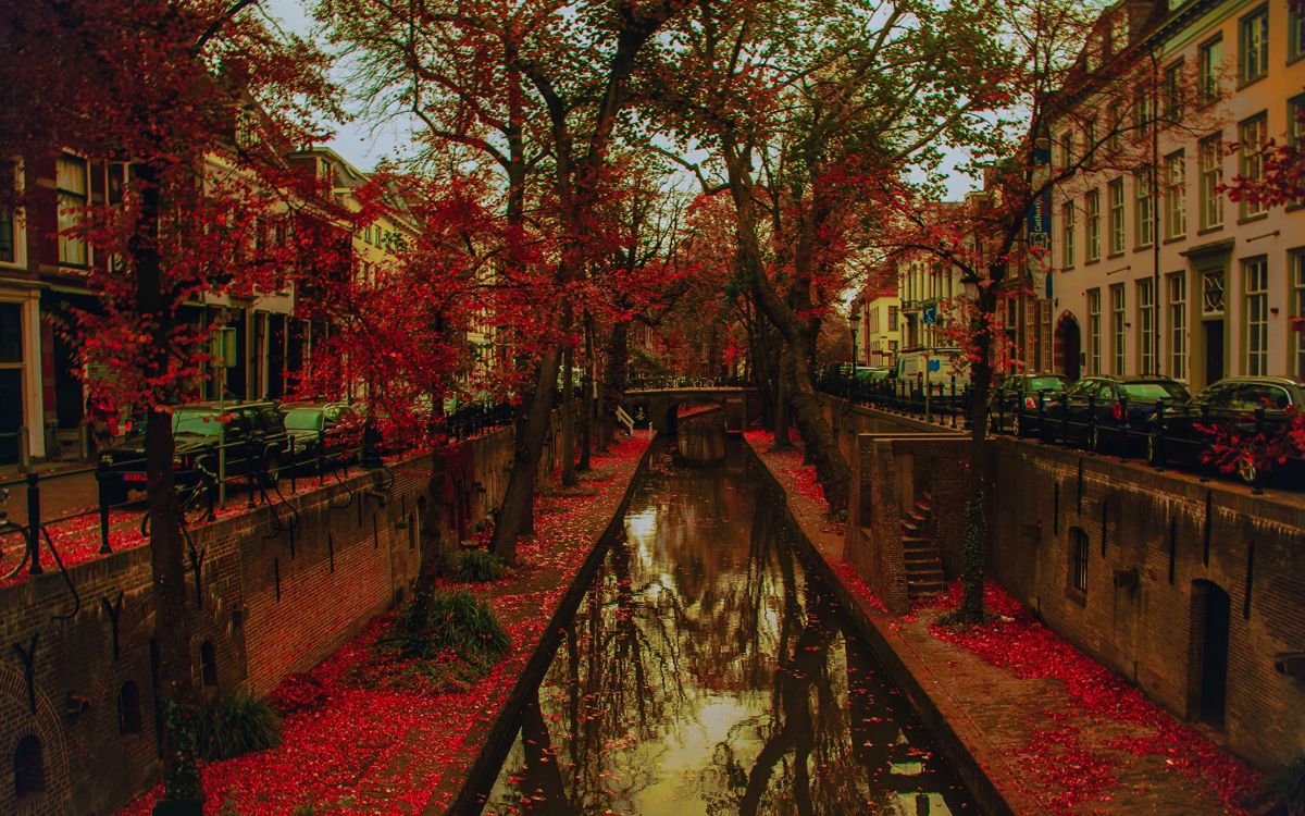 Обои Утрехт, водный путь, канал, отражение, дерево в разрешении 2880x1800