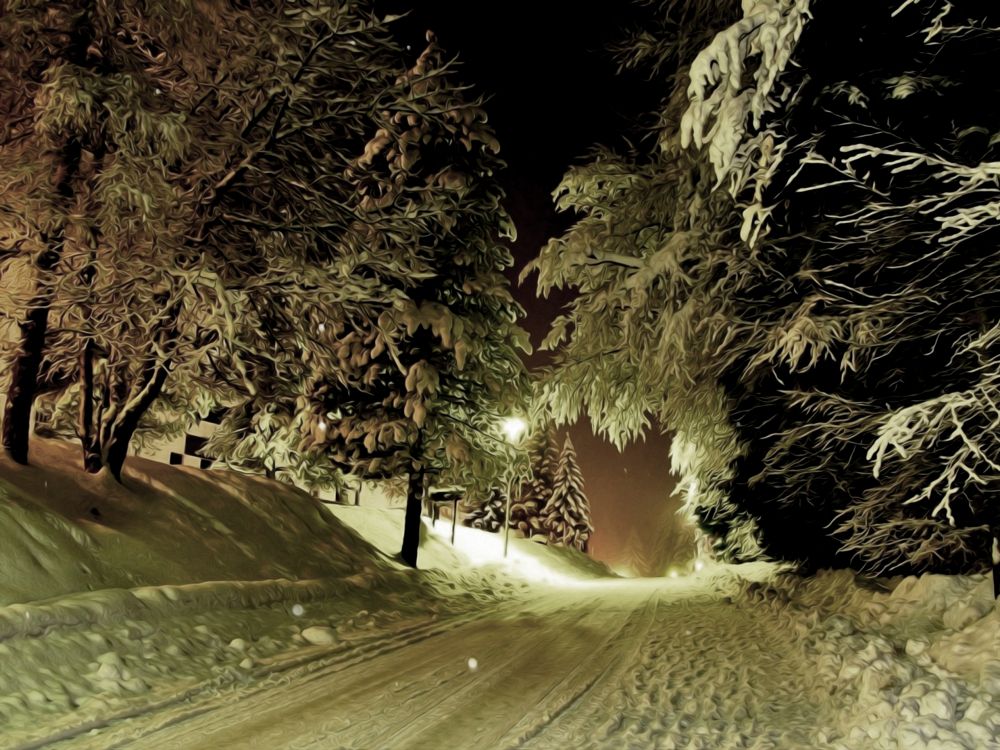 Обои лес, дерево, снег, природа, зима в разрешении 2560x1920