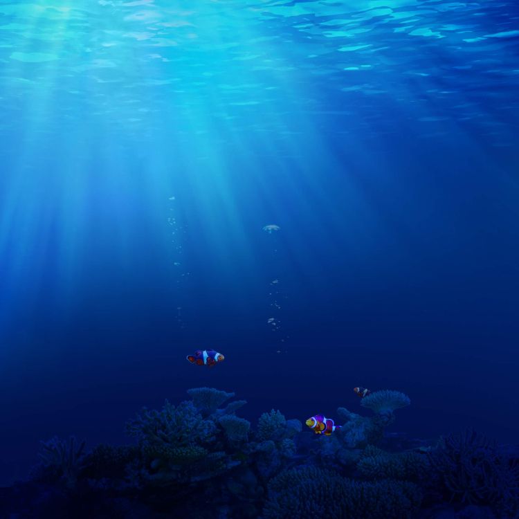 Обои Huawei, Huawei Honor 20, huawei honor 20 pro, честь 20, водоем в разрешении 2340x2340