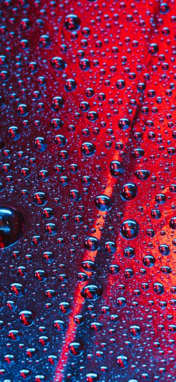 Обои узор, математика, геометрия, красочность, электрик в разрешении 1080x2340