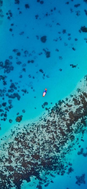 Обои стена, бумага, синий, вода, природа в разрешении 1080x2340