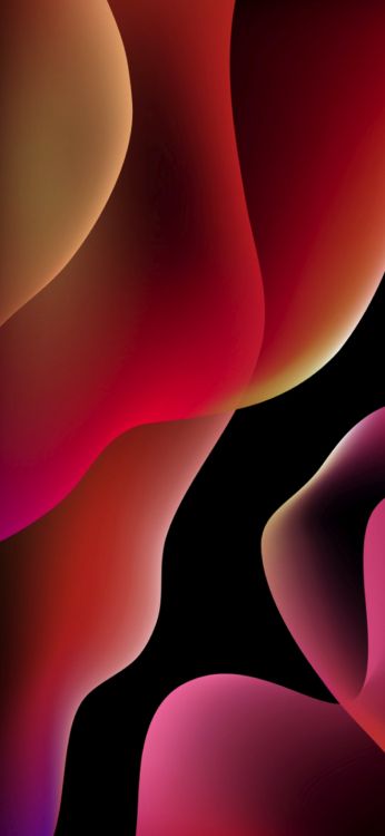 Обои яблоко, красочность, свет, черный, освещение в разрешении 1356x2934