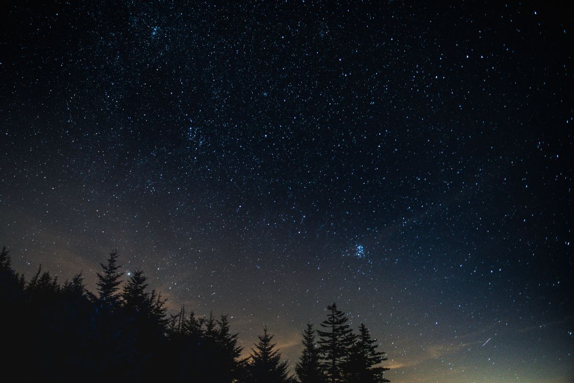 Обои ночь, дерево, природа, атмосфера, звезда в разрешении 7952x5304