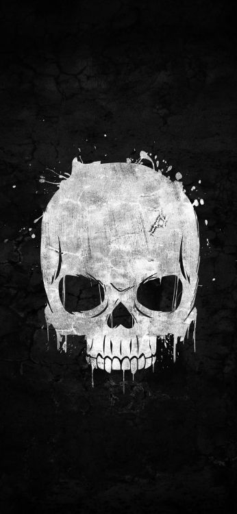 Обои черный и белый, голова, подбородок, рот, кость в разрешении 1080x2340