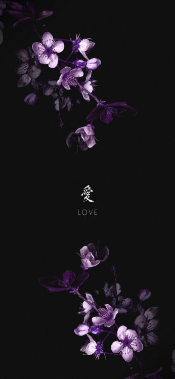 Обои Флора, Фиолетовый, wisgoon, цветок, пурпур в разрешении 1080x2340