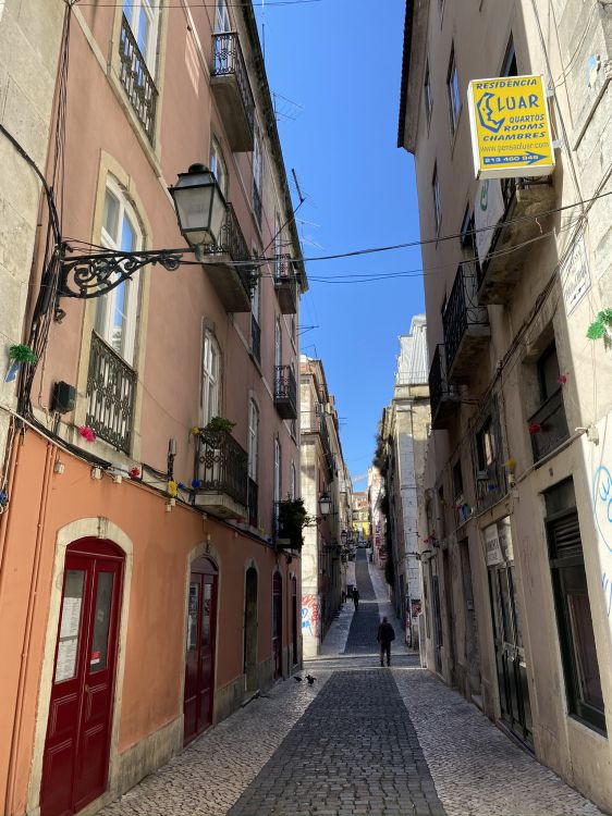 Обои аллея, дорога, городок, архитектура, соседство в разрешении 1536x2048