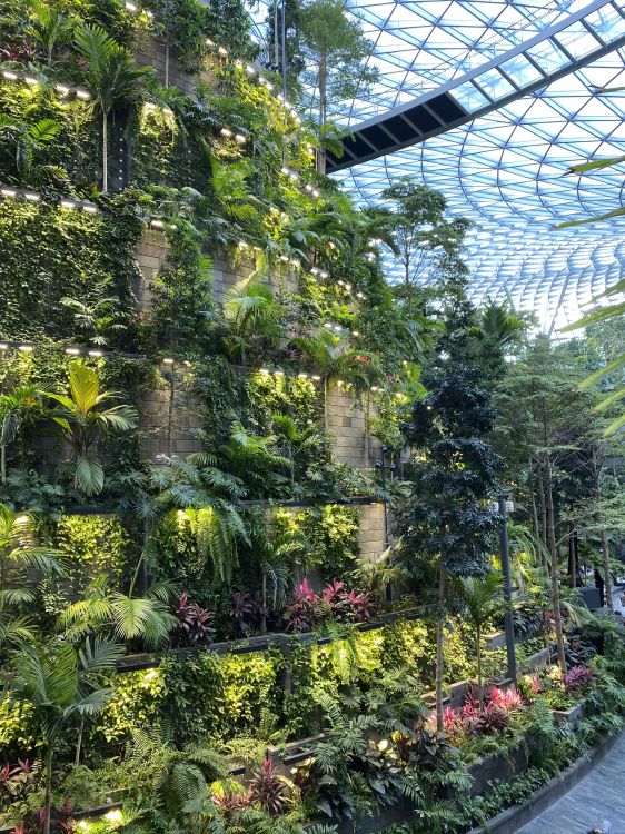 Обои растительность, Ботанический сад, биом, пейзаж, сад в разрешении 1536x2048