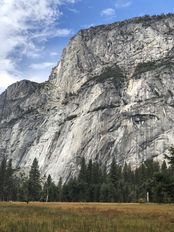 Обои йосемитский национальный парк, смартфон, горный рельеф, обнажение, природный ландшафт в разрешении 1536x2048