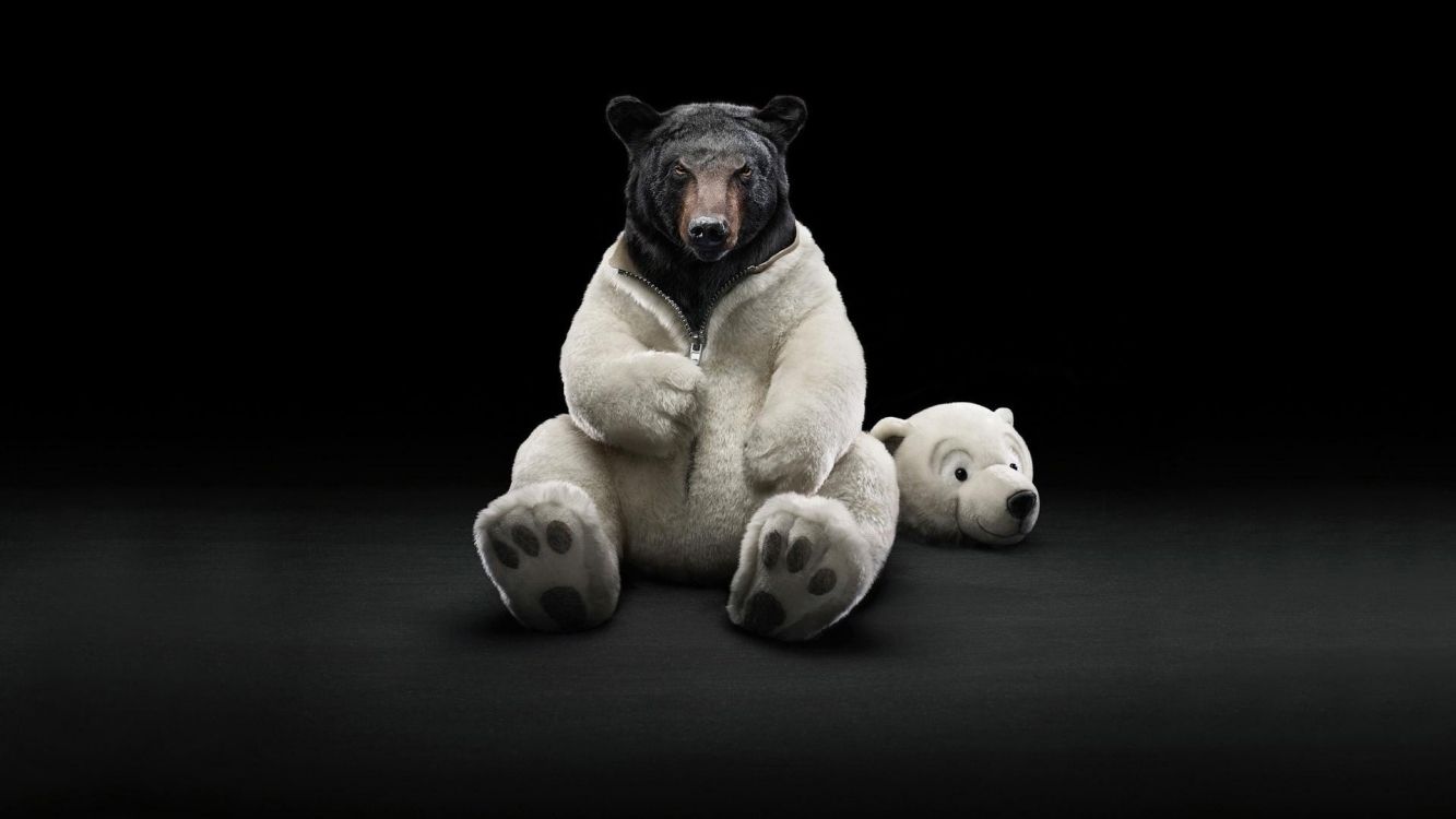 Заставка на телефон русский медведь