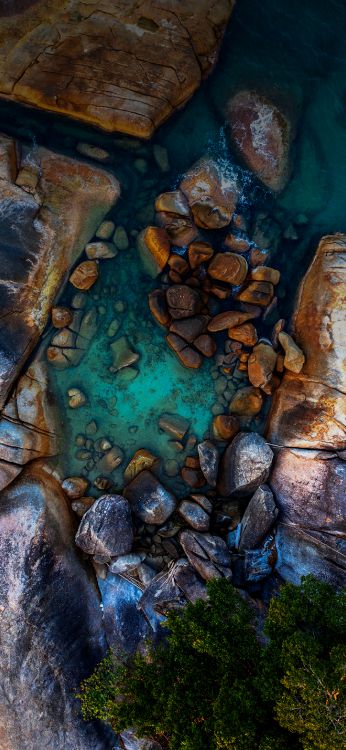 Обои вода, древесина, водоем, коренная порода, водоток в разрешении 1420x3073