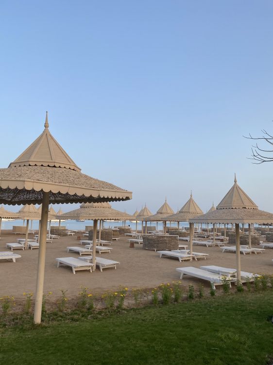 Обои крыша, растение, тень, досуг, горизонт в разрешении 1536x2048