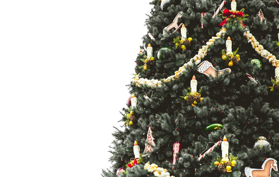 Обои елка, Рождественский день, Рождество и курортный сезон, дерево, растение в разрешении 5242x3331