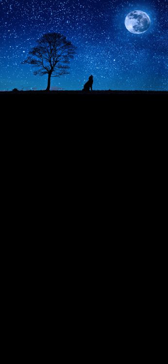 Обои Голубая луна в Ирландии, луна, голубая луна, атмосфера, черный в разрешении 1080x2340