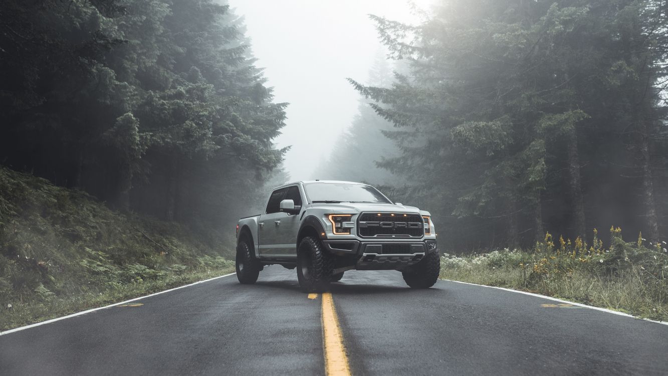 Обои 2019 Форд Рейнджер, Форд Рейнджер, легковые автомобили, компания Ford, Шелби Мустанг в разрешении 3840x2160