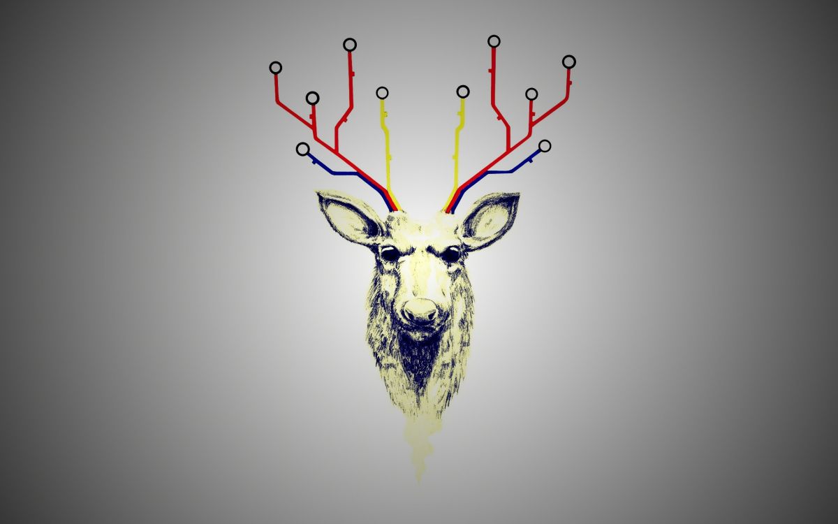 Обои олений рог, Северный олень, олень, графический дизайн, графика в разрешении 2560x1600
