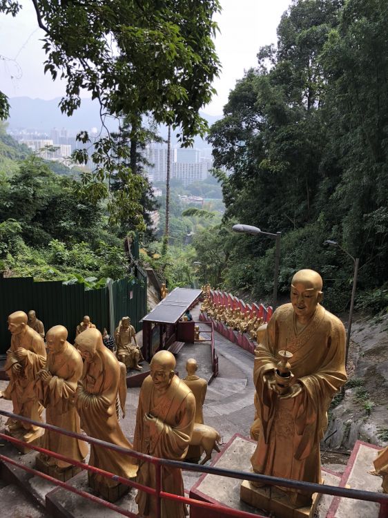 Обои дерево, туризм, наука, биология, место поклонения в разрешении 1536x2048