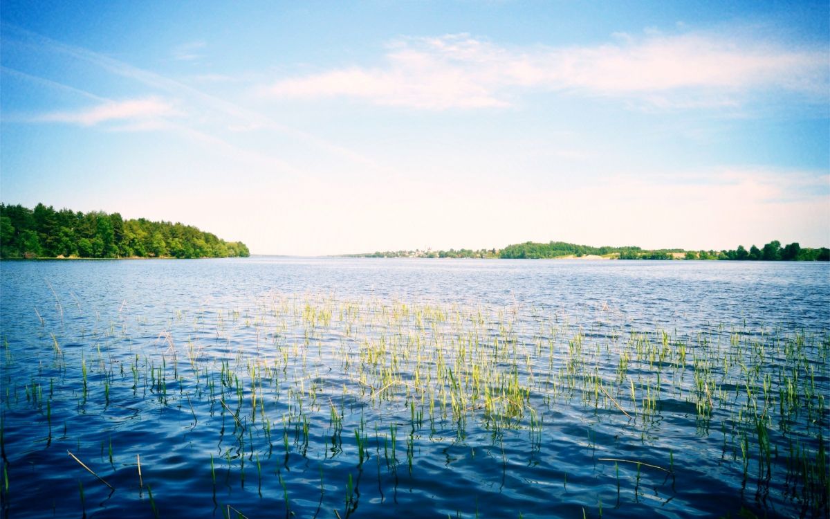 Обои река Волга, реки, водоем, гидроресурсы, вода в разрешении 2560x1600