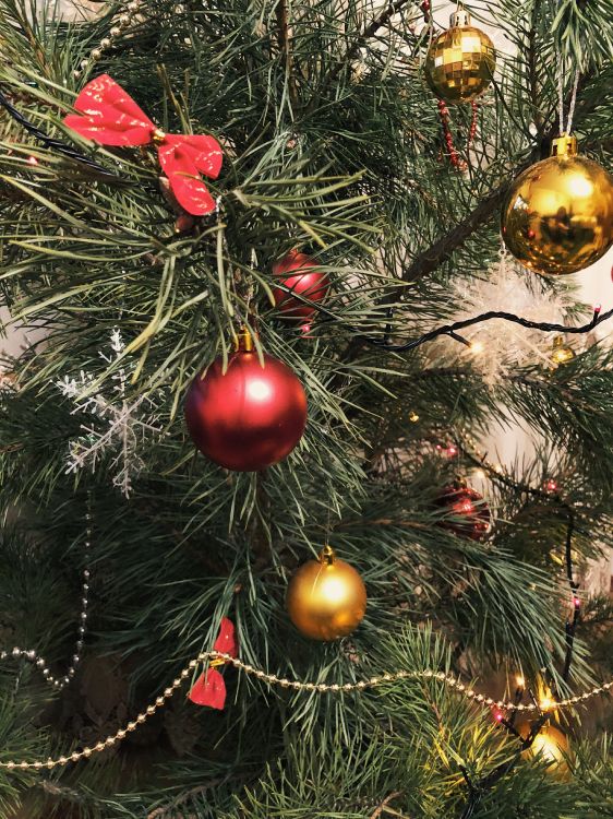 Обои рождественский орнамент, Рождественский день, елка, пихта, Рождественские украшения в разрешении 3024x4032
