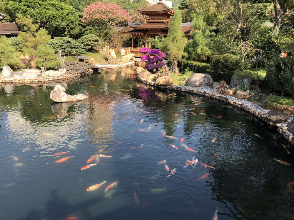 Обои отражение, водоток, сад, гидроресурсы, водные элементы в разрешении 2048x1536