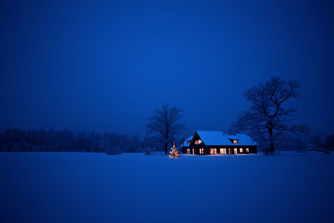 Обои снег, синий, зима, замораживание, ночь в разрешении 5616x3744
