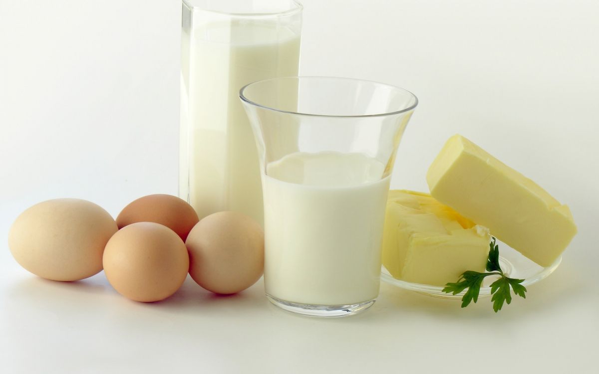 Обои молоко, пища, напиток, диета, привычная пища в разрешении 2560x1600