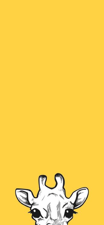 Обои мультфильм, желтый, Апельсин, прямоугольник, арт в разрешении 1080x2340