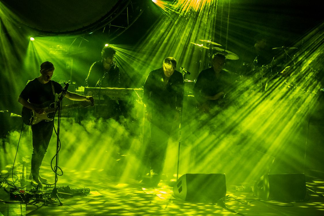 Обои природа, зеленый, растение, видеоэффекты, завод в разрешении 2500x1667