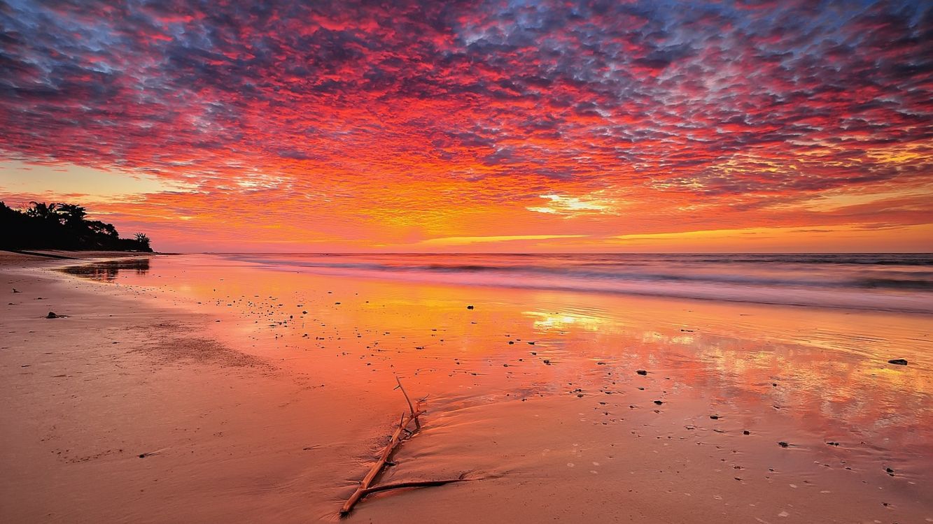 Обои пляж, берег, пейзаж, море, горизонт в разрешении 2560x1440