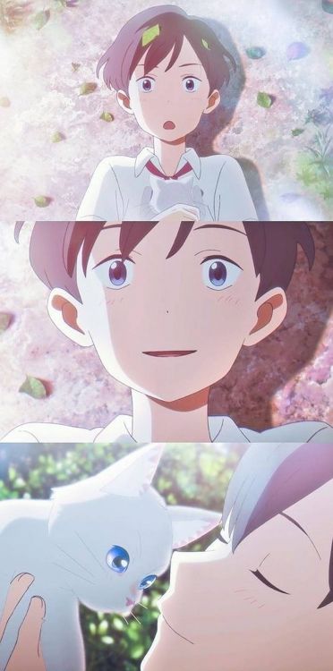 Обои уберите Хиноде и Таро, Миё Сасаки, мультик, Кенто Хиноде, мультфильм в разрешении 999x2009