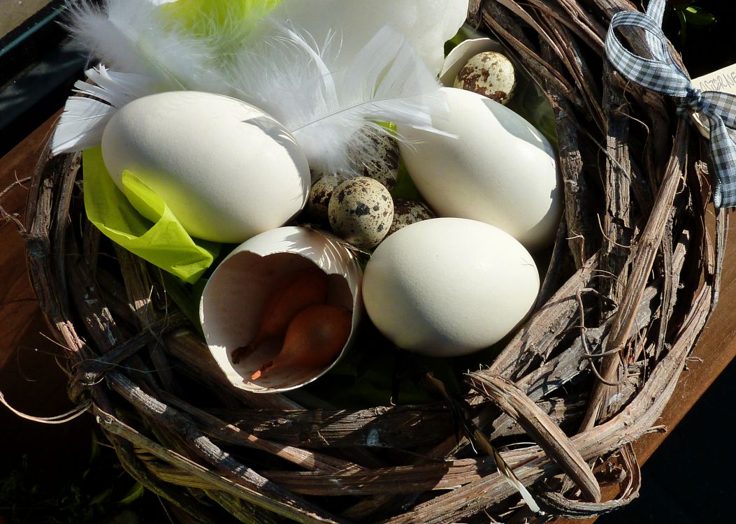 Обои пасхальное яйцо, яйцо, птичье гнездо, растение, пища в разрешении 2596x1848