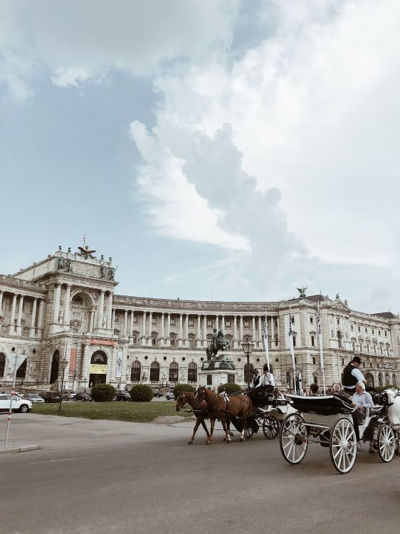 Обои Императорский дворец Хофбург, перевозка, конь, конская сбруя, лошадь и багги в разрешении 2878x3838