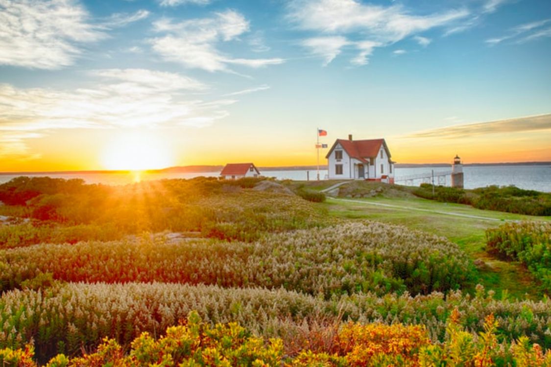 Обои поле, облако, растение, экорегион, цветок в разрешении 1920x1280