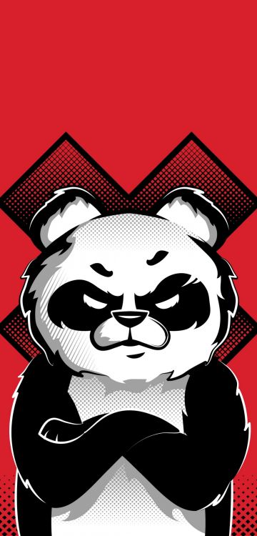 Обои сумасшедшая панда, гигантская панда, постер, кошачьих, кот в разрешении 1080x2248