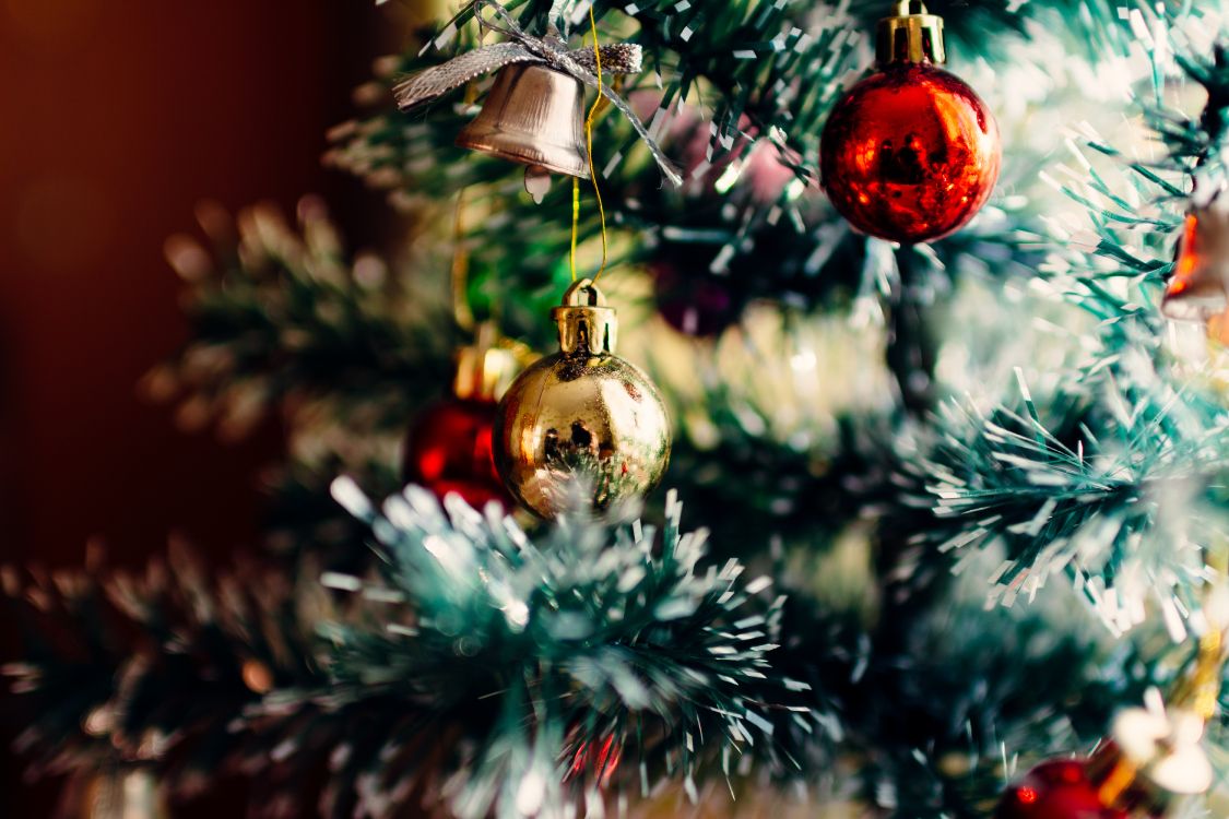 Обои Рождество и курортный сезон, Рождественский день, праздник, елка, рождественский орнамент в разрешении 6000x4000
