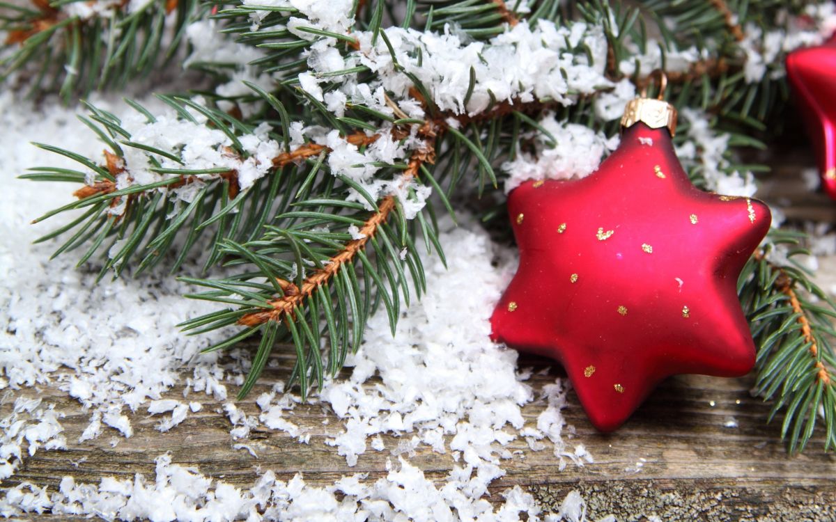 Обои Рождественский день, Новый год, ветвь, рождественский орнамент, пихта в разрешении 2560x1600