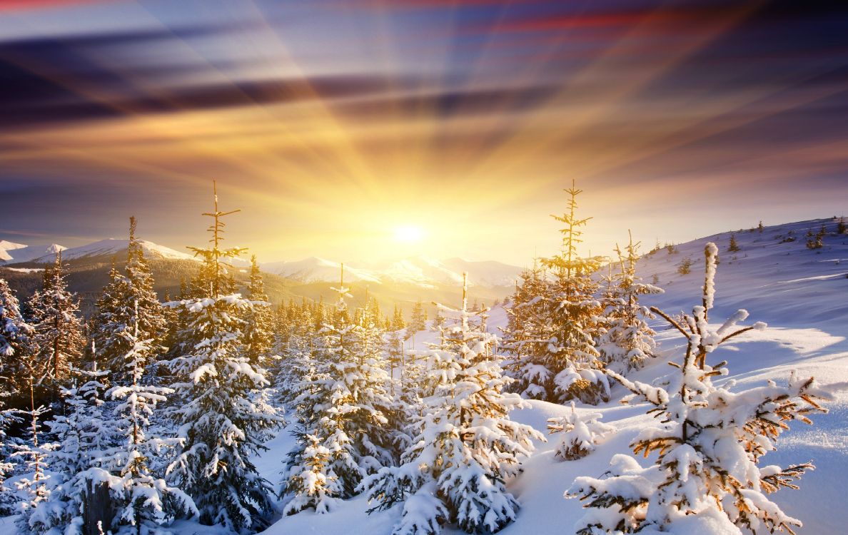 Обои восход солнца, зима, снег, природа, природный ландшафт в разрешении 3870x2443