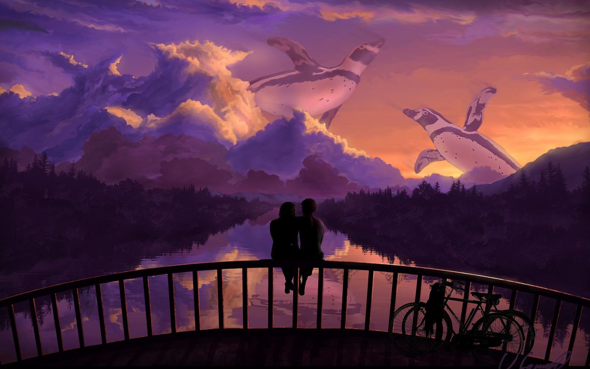 Обои роман, пурпур, облако, вечер, закат в разрешении 2560x1600