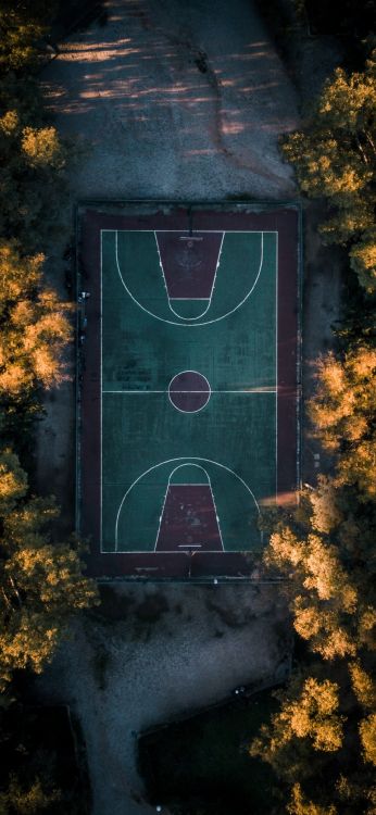 Обои канзас джейхокс мужской баскетбол, баскетбольная площадка, Баскетбол, Аллен Филдхаус, древесина в разрешении 1080x2340