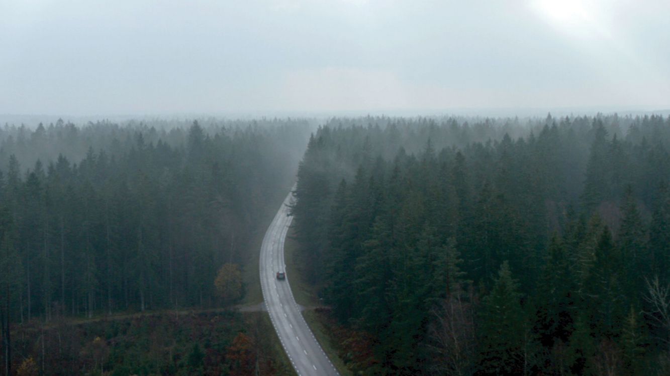 Обои природный заповедник, гидроресурсы, дымка, туман, дерево в разрешении 3200x1800