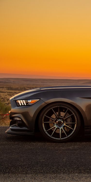 Обои отражение, легковые автомобили, спорткар, компактный автомобиль, Литые диски в разрешении 1280x2560