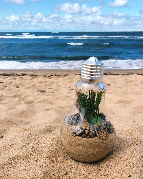 Обои берег, пляж, вода, пейзаж, песок в разрешении 1080x1350