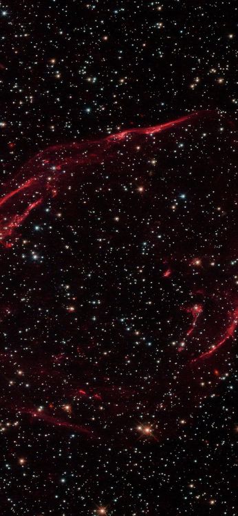 Обои туманность, Xiaomi Mi Mix 3, яблоко, вода, елка в разрешении 1080x2340