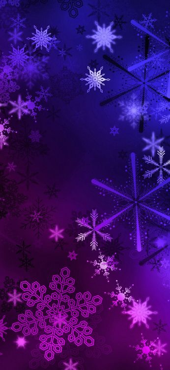 Обои висгун - социальная сеть, пурпур, свет, Фиолетовый, линия в разрешении 1407x3045