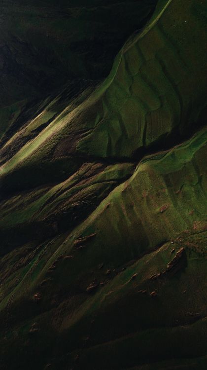 Обои вода, древесина, наземное растение, пейзаж, узор в разрешении 3061x5464