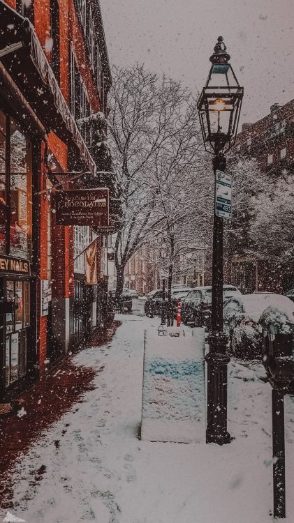 Обои снег, здание, уличный фонарь, ветвь, дерево в разрешении 1215x2160